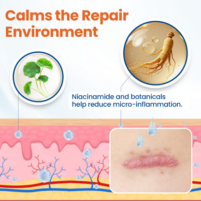 DermalRebuild Skin Renewal Gel