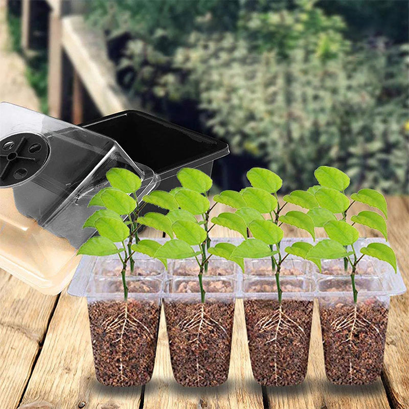 ⏰Limited offer 62% Discount🔥Seed Starter Trays with Grow Light