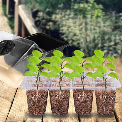 ⏰Limited offer 62% Discount🔥Seed Starter Trays with Grow Light
