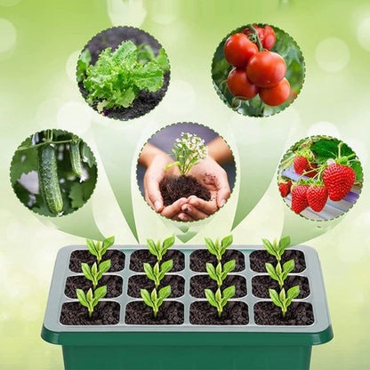 ⏰Limited offer 62% Discount🔥Seed Starter Trays with Grow Light