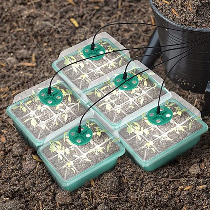 ⏰Limited offer 62% Discount🔥Seed Starter Trays with Grow Light