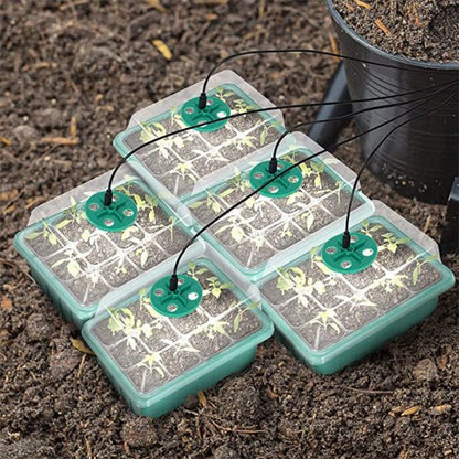 ⏰Limited offer 62% Discount🔥Seed Starter Trays with Grow Light